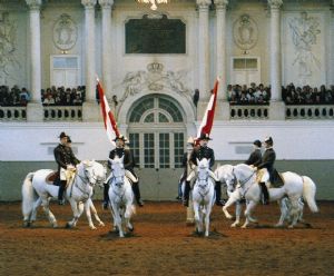 Spanische Hofreitschule